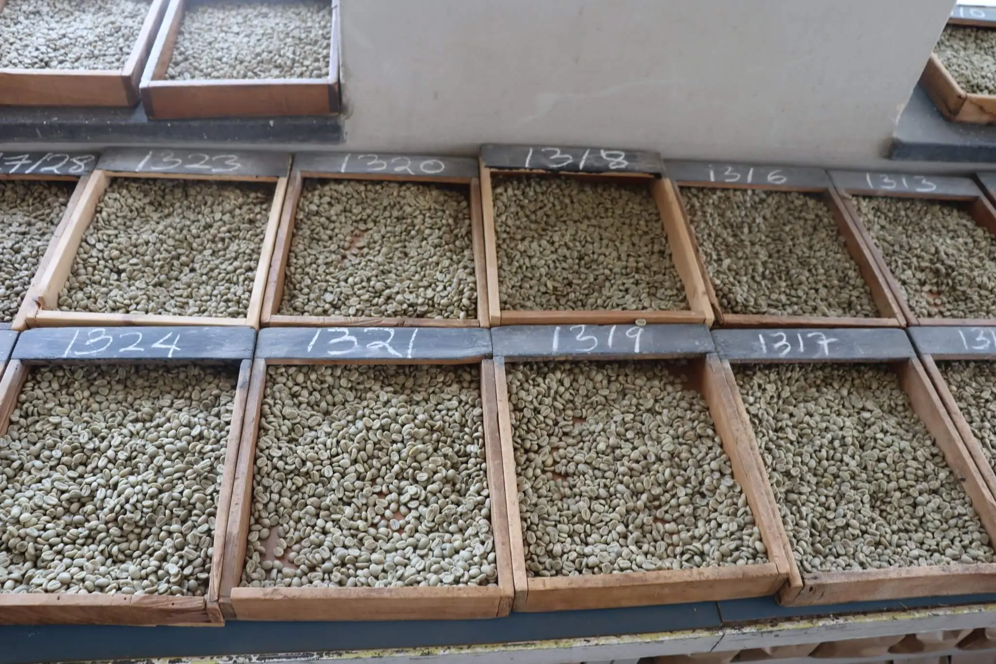 Coffee samples at the Nairobi Coffee Exchange. (Photo:NCE)