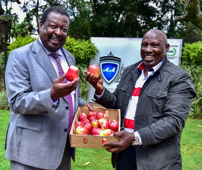 Prime CS Musalia Mudavaid with a director from Wambugu Apples. Image: courtesy.