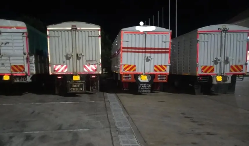 Lorries that were intercepted by HCD officials after crossing to Tanzania with immature avocado. Image: courtesy.