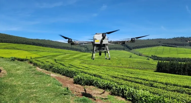 A drone on tea planation. Photo (KQ).