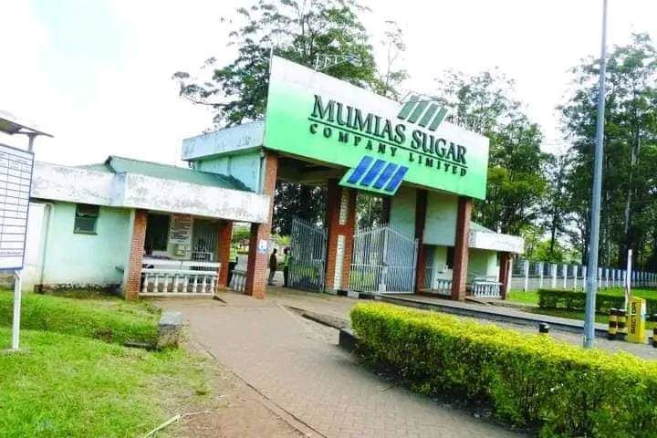 Mumias Sugar Factory. (Photo: courtesy)